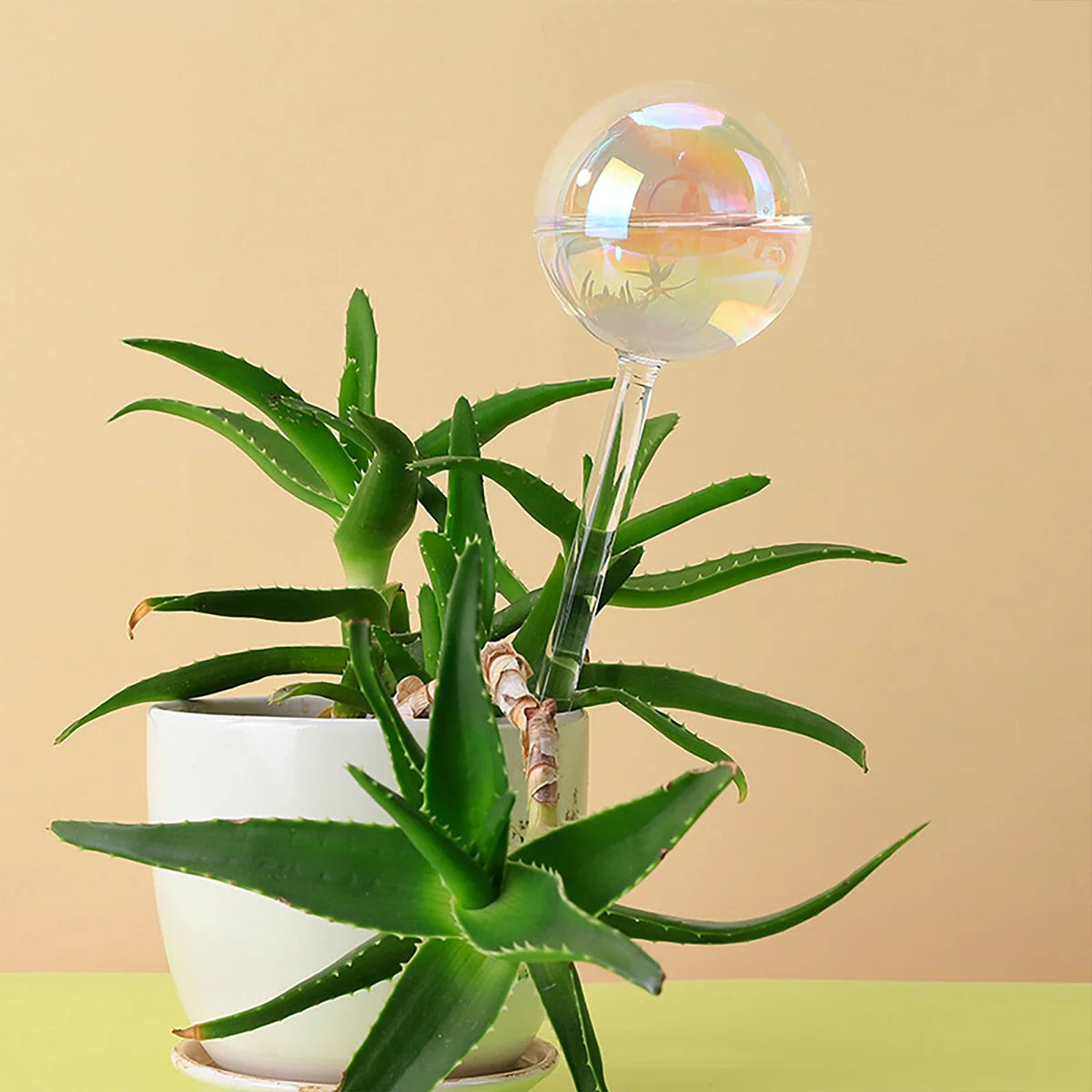 Boules d'Arrosage en Verre Soufflé à la Main pour Plantes d'Intérieur