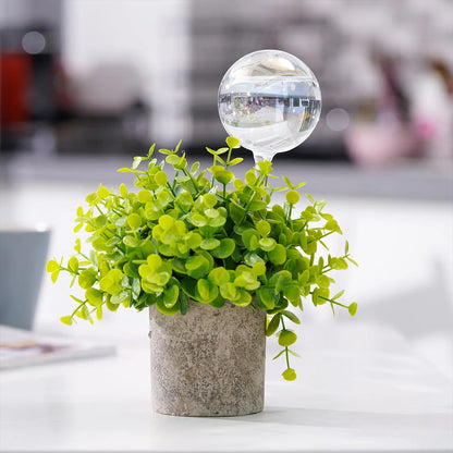 Boules d'Arrosage en Verre Soufflé à la Main pour Plantes d'Intérieur