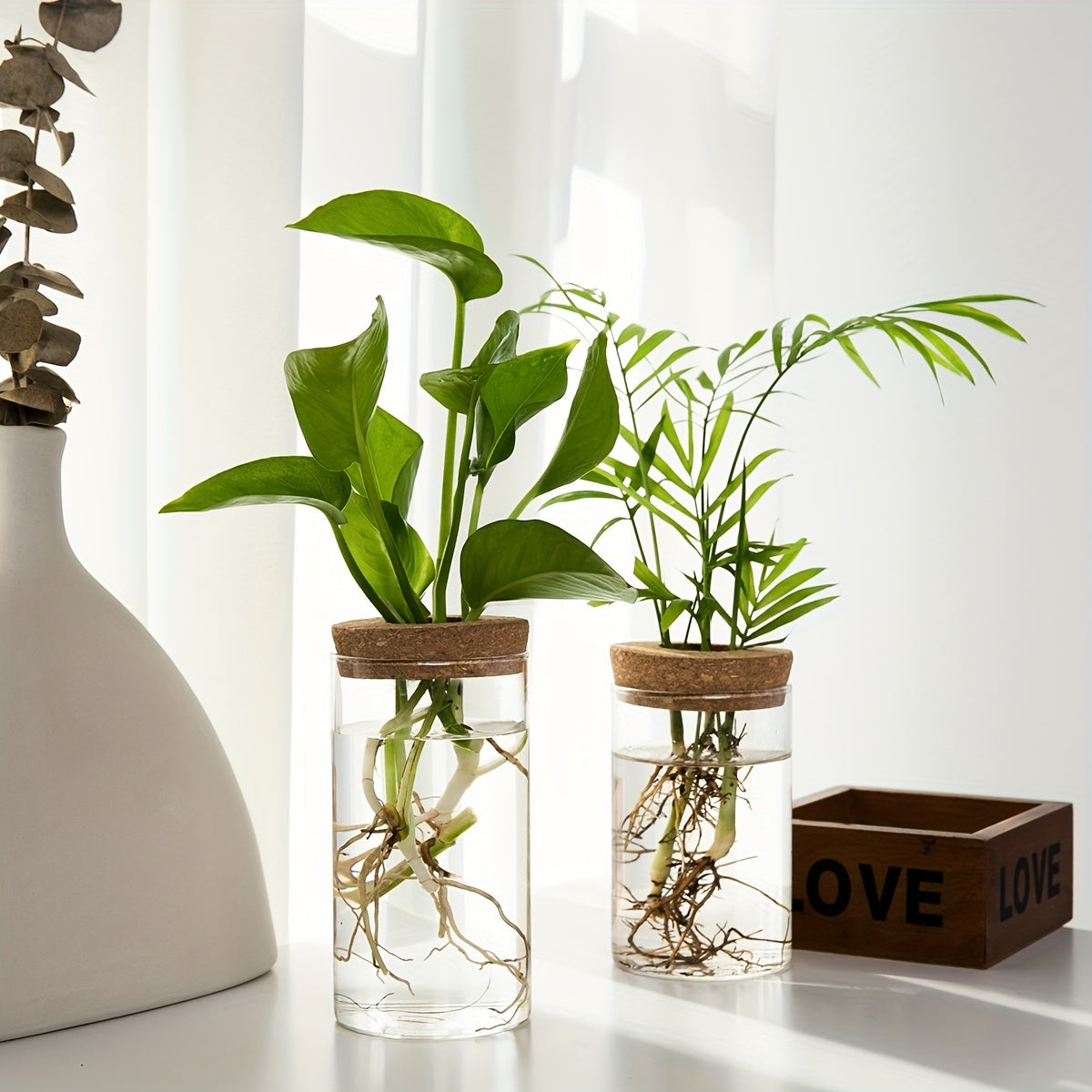 Accessoire de Soin pour Plantes d'Intérieur en Verre Transparent - Écologique et Économique