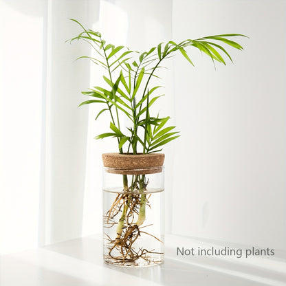 Accessoire de Soin pour Plantes d'Intérieur en Verre Transparent - Écologique et Économique