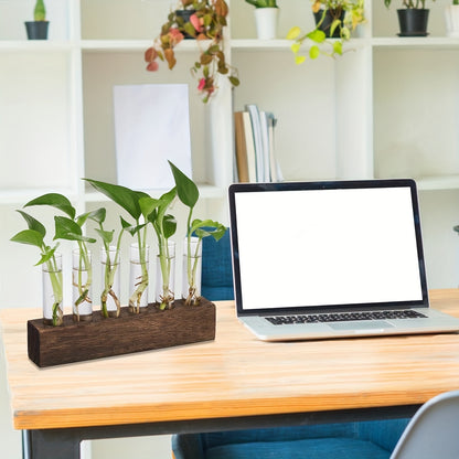 Accessoire de Plante d'Intérieur et d'Extérieur en Verre Auto-Nettoyant FOOSIBO