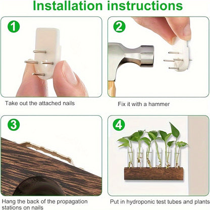 Accessoire de Plante d'Intérieur et d'Extérieur en Verre Auto-Nettoyant FOOSIBO