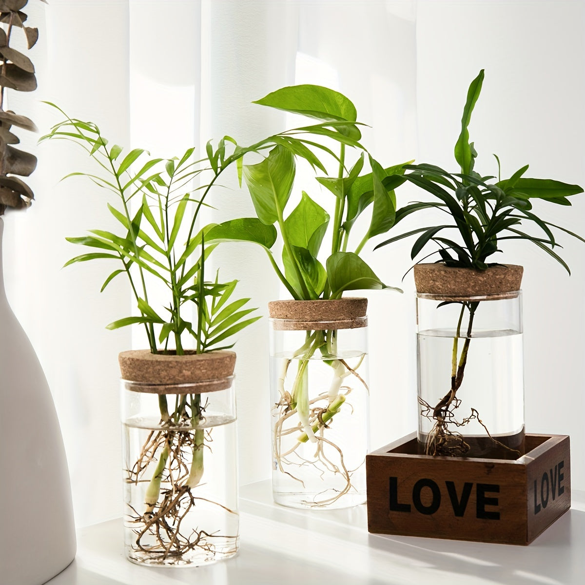 Accessoire de Soin pour Plantes d'Intérieur en Verre Transparent - Écologique et Économique