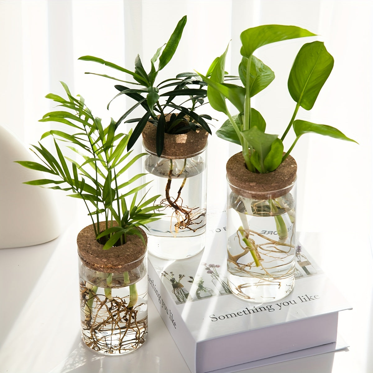 Accessoire de Soin pour Plantes d'Intérieur en Verre Transparent - Écologique et Économique